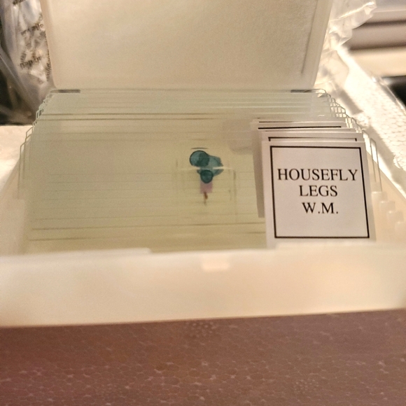 TELMU BIOLOGICAL MICROSCOPE - Picture 4 of 7